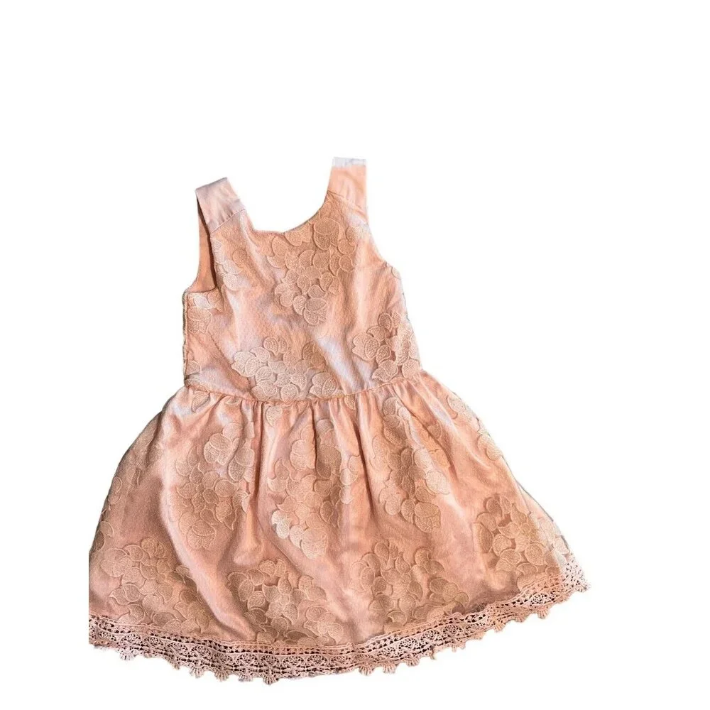 Catherine Malandrino Pink Girls Part Easter. Hristmas Lace Dress 4T